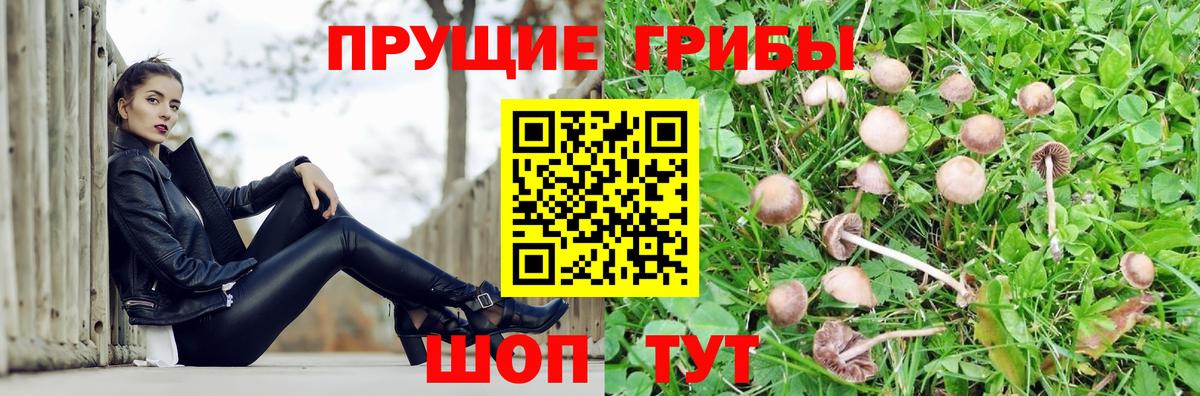 Владивосток  Галлюциногенные грибы ЛСД  где продают наркотики  Вход с VPN  Галлюциногенные грибы Psilocybine cubensis 